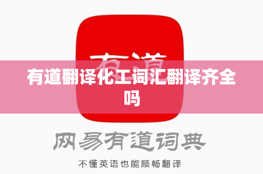 有道翻译化工词汇翻译齐全吗