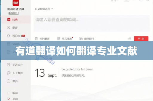 有道翻译如何翻译专业文献