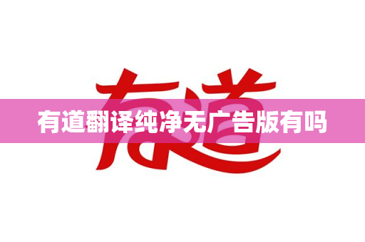 有道翻译纯净无广告版有吗