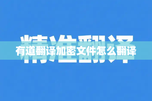 有道翻译加密文件怎么翻译