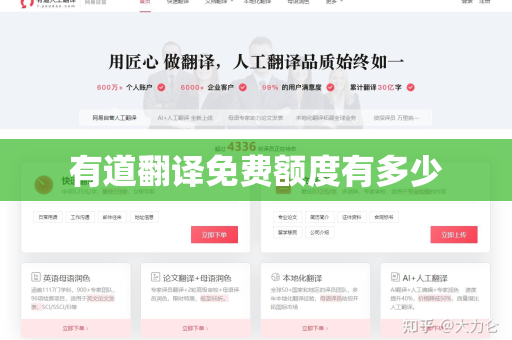 有道翻译免费额度有多少