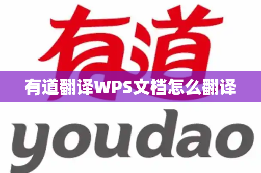 有道翻译WPS文档怎么翻译