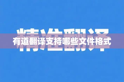 有道翻译支持哪些文件格式