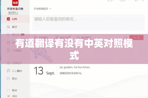 有道翻译有没有中英对照模式