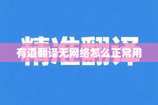 有道翻译无网络怎么正常用