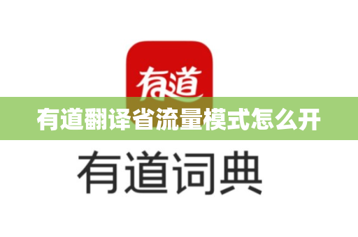 有道翻译省流量模式怎么开