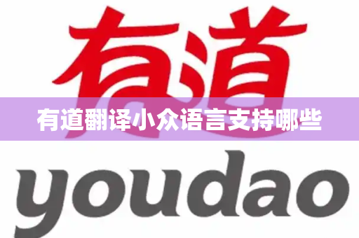 有道翻译小众语言支持哪些