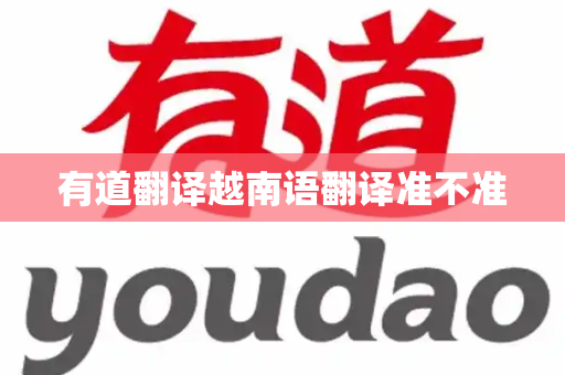 有道翻译越南语翻译准不准