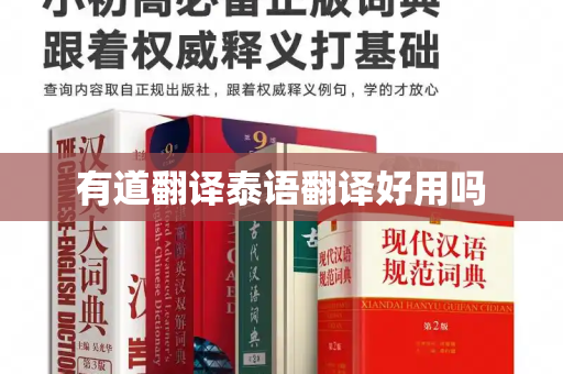 有道翻译泰语翻译好用吗