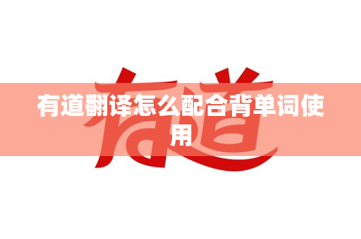 有道翻译怎么配合背单词使用