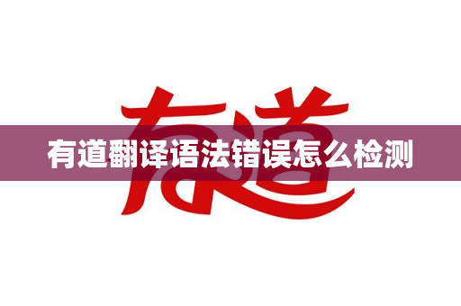 有道翻译语法错误怎么检测