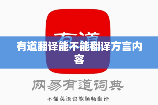 有道翻译能不能翻译方言内容