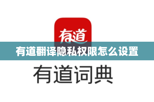 有道翻译隐私权限怎么设置