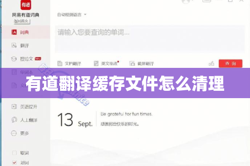 有道翻译缓存文件怎么清理