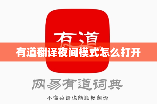 有道翻译夜间模式怎么打开
