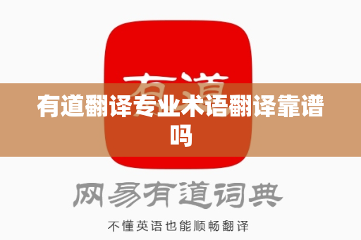 有道翻译专业术语翻译靠谱吗