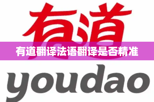 有道翻译法语翻译是否精准