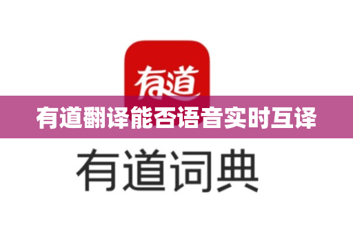 有道翻译能否语音实时互译