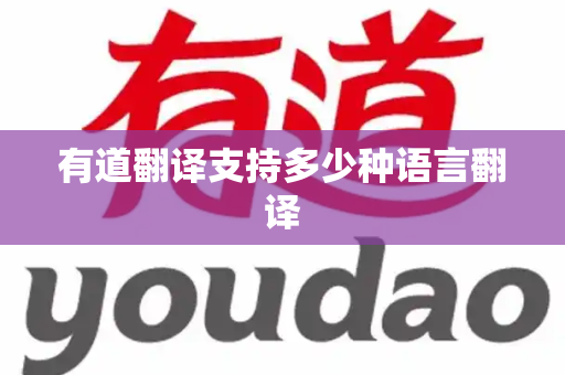 有道翻译支持多少种语言翻译