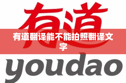 有道翻译能不能拍照翻译文字