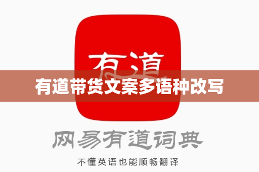有道带货文案多语种改写