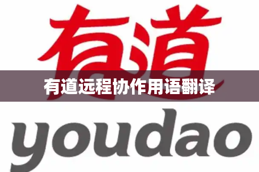 有道远程协作用语翻译
