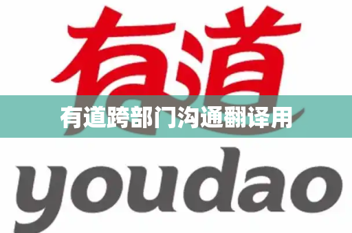 有道跨部门沟通翻译用